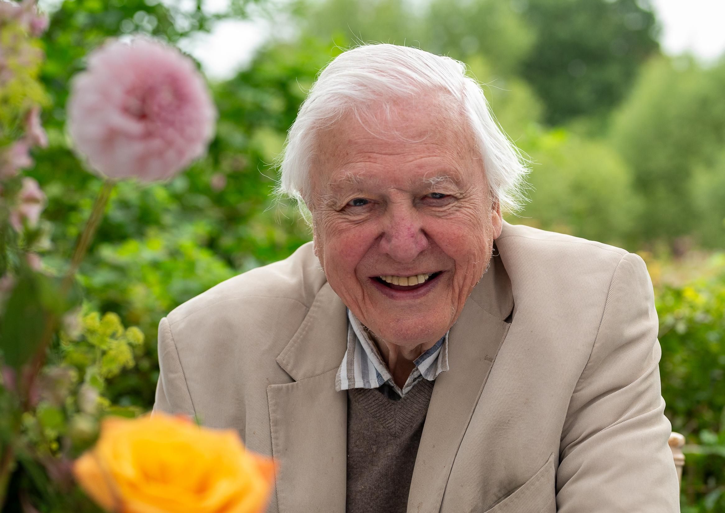Sir David Attenborough