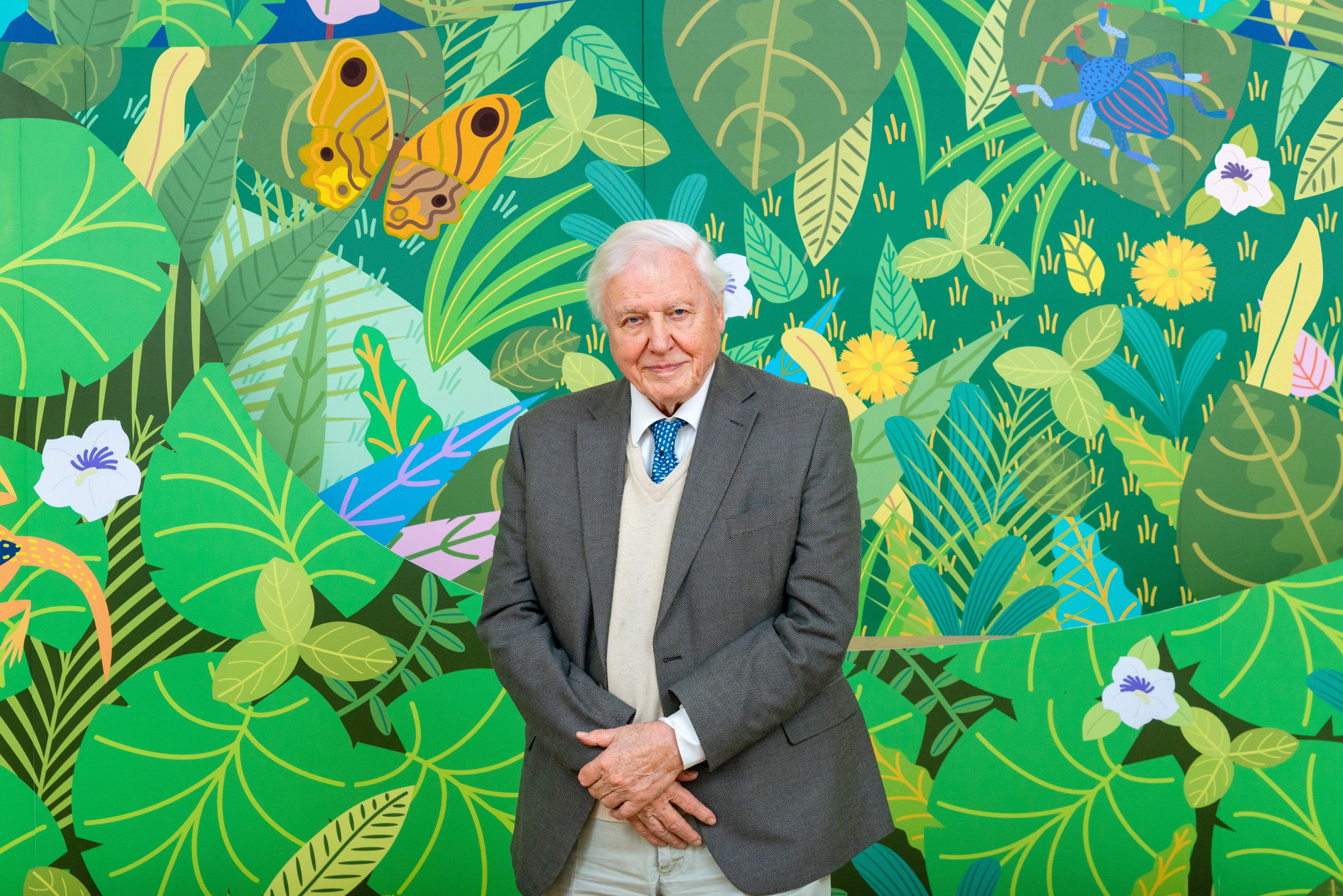 Sir David Attenborough posing